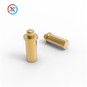 Pogo-Pins